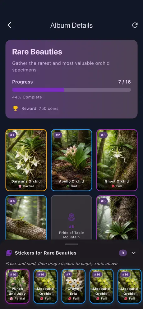 Gorgeous Orchids - Album Details